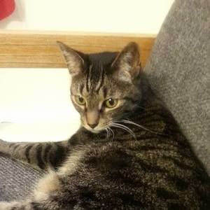 Meet your Posher, Candi